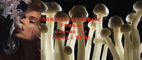 альфа пвп Усолье-Сибирское